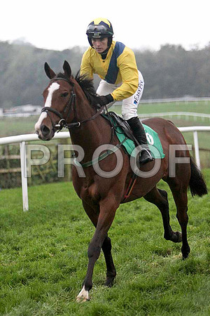 Derapour , 8th, Jockey - Ms K Walsh - FT8E5520-e
