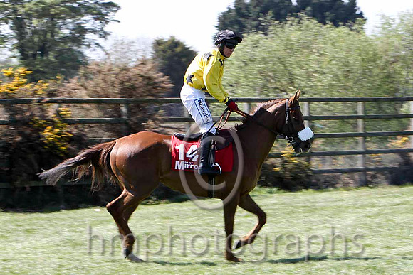 Uncle Taffy 2nd, Jockey D J Condon - FT8E2127-e