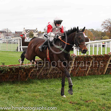 08th Macs Bach and P T Enright ( 3 , white, red spots ) Trainer - Ms M Flynn , Owner - Santry Power Walsh Syndicate