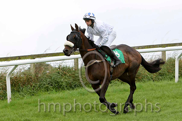 Karkari , Jockey A P Crowe - 2nd - CU2D2231-e