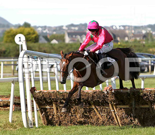 Izind an Affair 12th, Jockey R Loughran  - CU2D0107-e2
