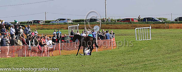 TULLYORIOR and R A Devine ( 10 , PURPLE; white sleeves; red cap,white star ) Trainer: Catherine Barry , Owner : Catherine Barry