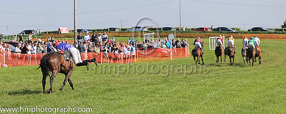 TULLYORIOR and R A Devine ( 10 , PURPLE; white sleeves; red cap,white star ) Trainer: Catherine Barry , Owner : Catherine Barry