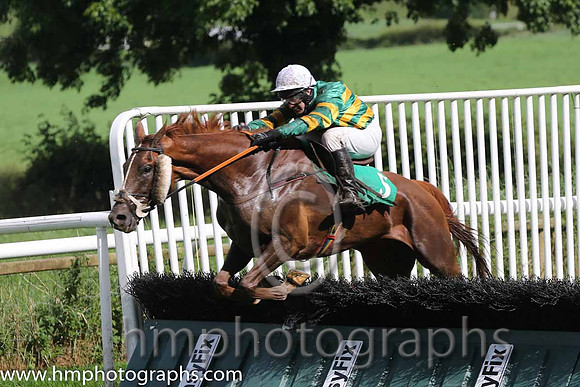 04 Point of Rescue & & D J Casey - 4th (5, green and yellow hooped) - AA1V0865