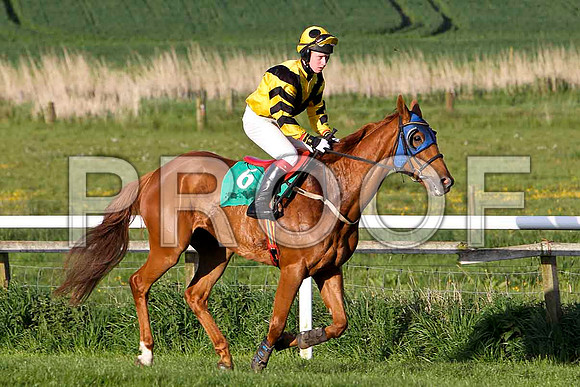 Galway Legend , 9th, Jockey - P F Mangan - FT8E3070-e