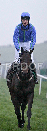 Hidden Future , 6th, Jockey - Mr R P McNamara -FT8E5607-e2