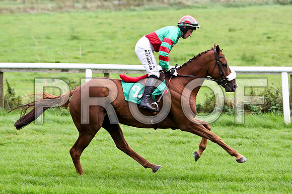 Claragh Native , Jockey P W Flood - 8th- CU2D2337-e