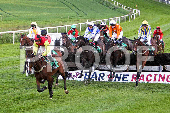 Lord Multifix , 3rd, Jockey Mr J J Codd - FT8E3187-e