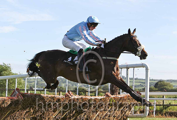 Limited Vision 13th Jockey T P Treacy - CU2D0130-e