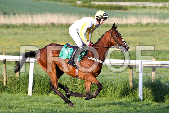 Looks Like Dad , 5th, Jockey - Mr E Magee - FT8E3144-e