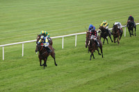 01st Rock On Rosie ( 1 , yellow, royal blue cross sashes ) and Shane Shortall (5) - Trainer : Adrian Brendan Joyce - Owner : Mrs Geraldine Devine