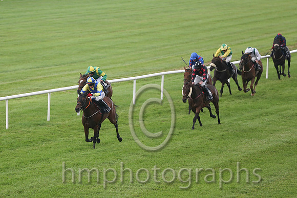 01st Rock On Rosie ( 1 , yellow, royal blue cross sashes ) and Shane Shortall (5) - Trainer : Adrian Brendan Joyce - Owner : Mrs Geraldine Devine