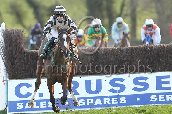 01st Springfield Lodge  and J C Gainford7 ( 13 , beige, black epaulettes ) Trainer - E OGrady , Owner - Falcon Four Syndicate