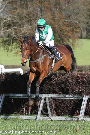 07 Paddy Plant Hire and N McParlan - 07PU - 07th (12 ,green, white star ) Trainer - Peter Maher