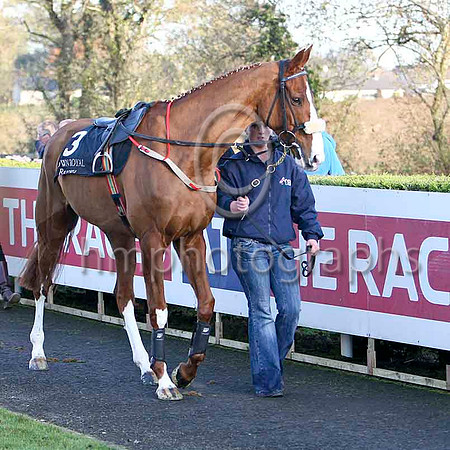 Leggy Lad - Winner , Jockey Mr M McConville - FT8E7157-e
