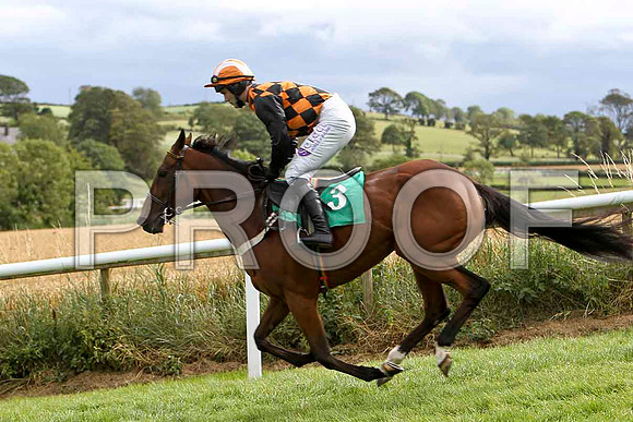 Benefique - 2nd, Jockey B T O'Connell -  -FT8E3871-e