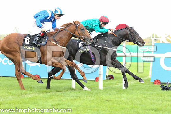 02 Mustajeeb and P J Smullen - - 02nd (8 ,royal blue, white epaulettes ) Trainer -   01 Bow Creek and J Fanning - - 01st (6 ,dark green, red cap ) Trainer - M Johnston