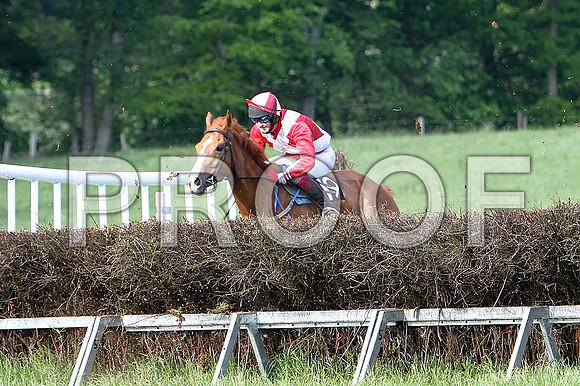 Race 6 Div 2 - Moneybach Garantee (19) 4th, Rider C Cully - CU2D9829-e