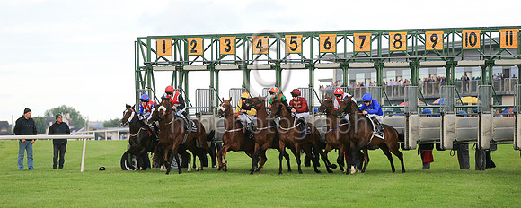start of Her Mahesty's Plate Stakes at Down Royal