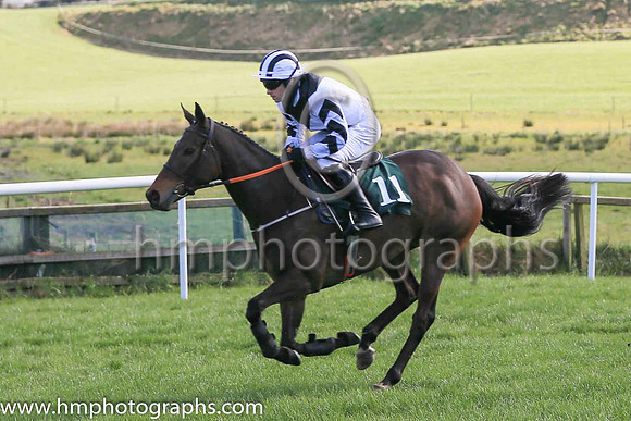 05th Oceans Of Money and R Deegan5 ( 11 , black  and white diabolo ) Trainer - Miss E Doyle , Owner - T Perry