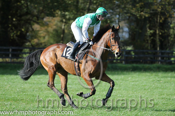 07 Paddy Plant Hire and N McParlan - 07PU - 07th (12 ,green, white star ) Trainer - Peter Maher