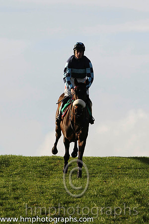 02 Royal Captain & D N Russell - 2nd (5, dark blue, light blue hoop)- FT8E1134-17