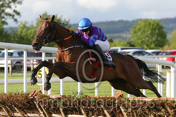01st Mustadrik (USA) ( 19 , blue and purple hoops ) and J.W. Kennedy (7) - Trainer : Gordon Elliott - Owner : Richard Gilbert