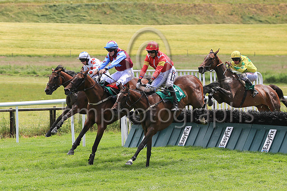 01st Maple Lawn and P D Kennedy 3 ( 6 , white, red spots ) Trainer - Mrs J Harrington , Owner - Joseph M Doyle