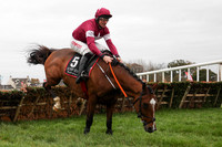 01st Poli Roi and Davy Russell (6, maroon, white star) Trainer Gordon Elliott, Owner Gigginstown