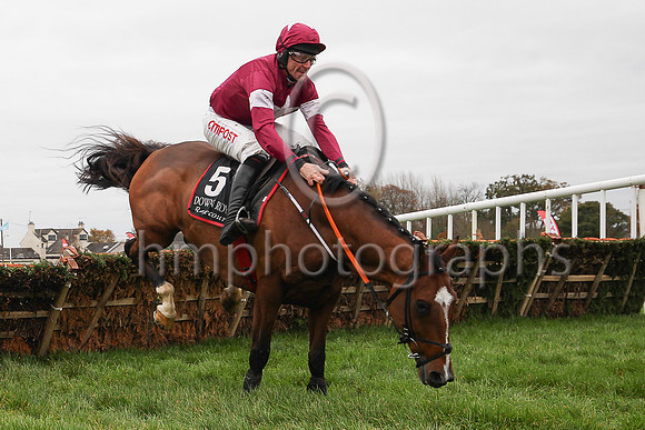 01st Poli Roi and Davy Russell (6, maroon, white star) Trainer Gordon Elliott, Owner Gigginstown