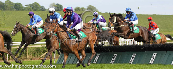 08 Camillas Wish & A E Lynch - 8th (13, blue, white stripe )- FT8E7496-38
