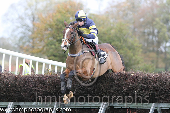 02 Serious Times and N O'Rourke - - 02nd (3 ,dark blue, yellow disc ) Trainer - Pater Maher