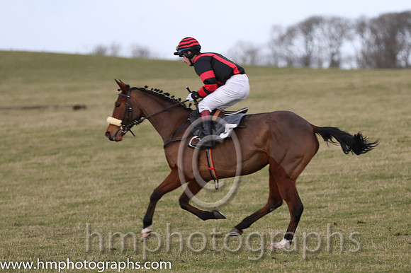 Diamond Reign (5)  - Darren Clarke, Black and red stripes