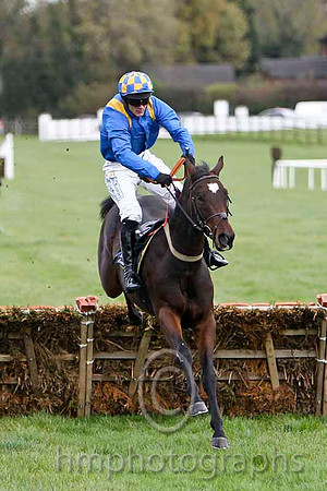 The Ring Is King & M Darcy - 6th (5, royal blue, yellow epaulettes) - FT8E7538-e2b