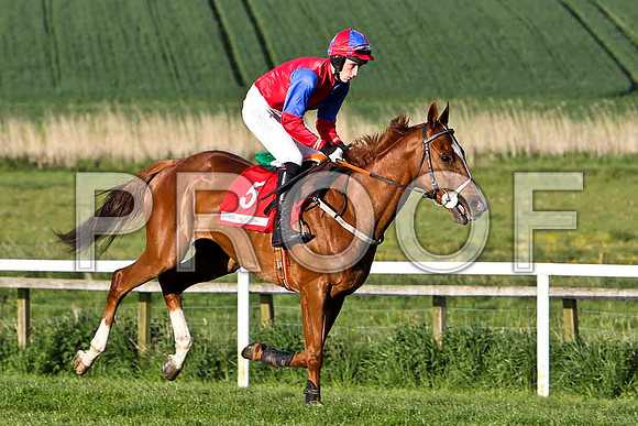 McSwynes Bay , 3rd , Jockey E J O'Connell - FT8E3065-e