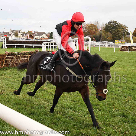 07th Hello Sweetie and R C Colgan ( 3 , black, red chevron ) Trainer - P E Collins , Owner - P E Collins