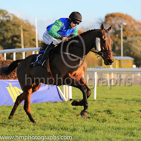 PU Celtic Thunder and I J McCarthy ( 7 , blue, green sleeves ) Trainer - R K Watson , Owner - Thundering Home Partnership