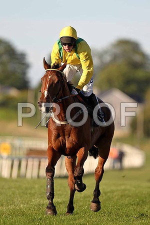 Rhinestorius 6th, Jockey A E Lynch - FT8E1139-e