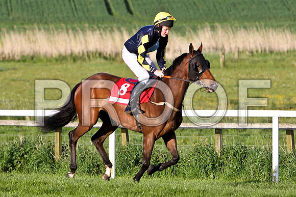 Rosiel , 12th, Jockey - E F Power - FT8E3076-e