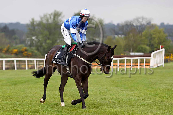 ItsNotEasyTed ( 7, royal blue, white hoop) & E J O'COnnell - 7thFT8E2630-e