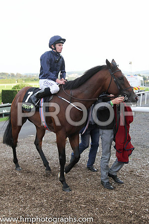 08 Michaelmas and R L Moore - - 08th (7 ,dark blue ) Trainer - D K Weld