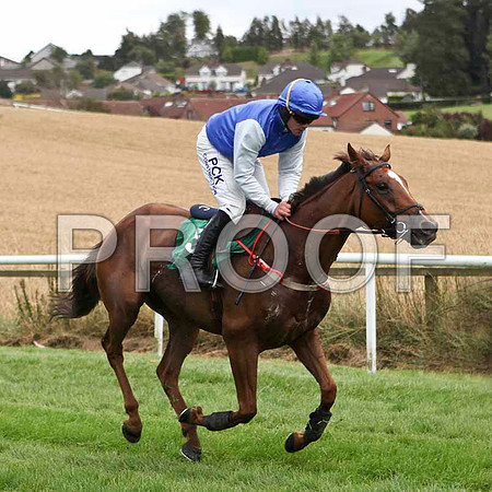 Better Back Bob - 6th, Jockey R C Colgan -IMG_9408-e2