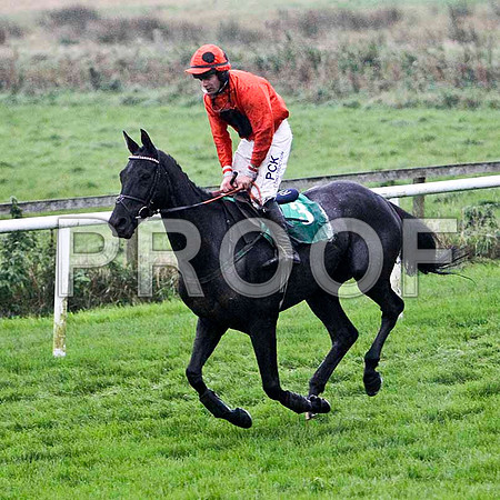 Roley , PU - Jockey R C Colgan - FT8E5439-e