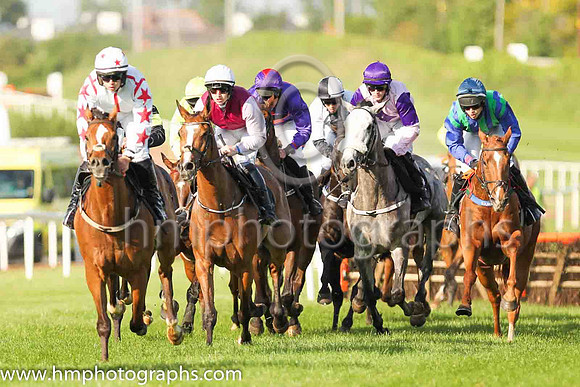 02nd Wild Caprice and H.C. Swan(7) (7 ,brown, beige sleeves ), Trainer:John Patrick Ryan , Owner:John Patrick Ryan