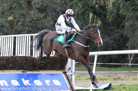 2013/12/13th - Race 5 The Seasons Greetings Beginners Steeplechase of 8,000 Euro at Downpatrick