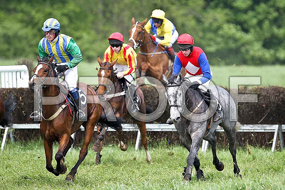 Fifth Race Div 1 - Graciemm (25) PU, Rider P E Turley, The Wee Girl (8) 2nd, Rider C McNally, INstand Cherry (29) PU , Rider C Cully & The Lady in Grey (38) Fell, Rider Derek O'Connor - FT8E0384-e