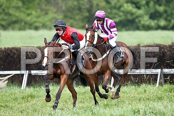 Fifth Race Div 1 - Rhialass (3) Fell, Rider d A Fitzsimmons & Phoenix AZ (36) 5th, Rider N McParlan - FT8E0385-e