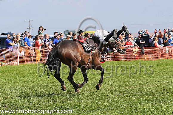 TULLYORIOR and R A Devine ( 10 , PURPLE; white sleeves; red cap,white star ) Trainer: Catherine Barry , Owner : Catherine Barry