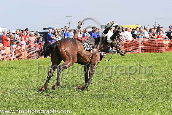 TULLYORIOR and R A Devine ( 10 , PURPLE; white sleeves; red cap,white star ) Trainer: Catherine Barry , Owner : Catherine Barry