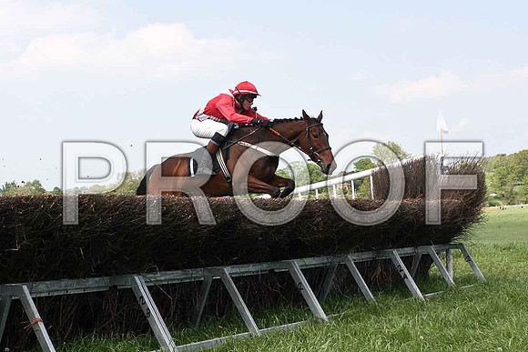 Second Race - Knockans Breeze (1) UR Rider W Thompson - IMG_0329-e